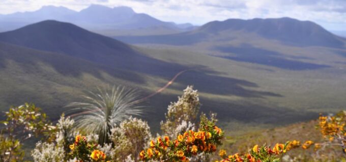 Stirling Range National Park Driving Tour With an APP - Requirements