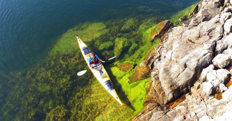 Stockholm: 1, 2, or 3-Day Kayaking Tour in the Archipelago - Good To Know