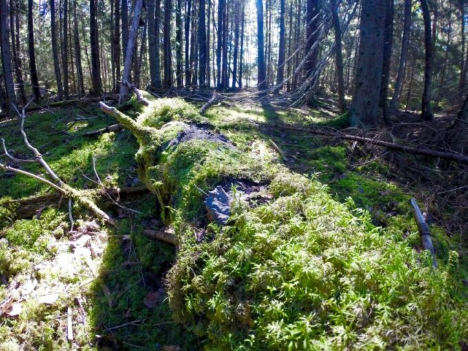 Stockholm: 2-Day Hiking Tour - What to Bring