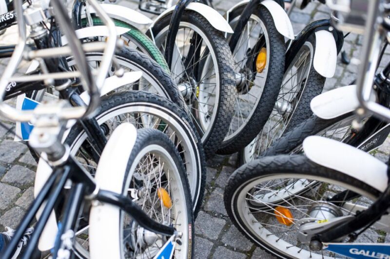 Stockholm 3-Hour Private Guided Bike Tour - Meeting Point and Transportation