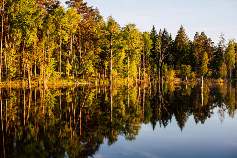 Stockholm: Canoe Adventure in Bogesund Nature Reserve - Experience Highlights