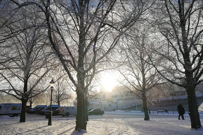 Stockholm Christmas Tour and Food Experience - Review Monitoring and Responses