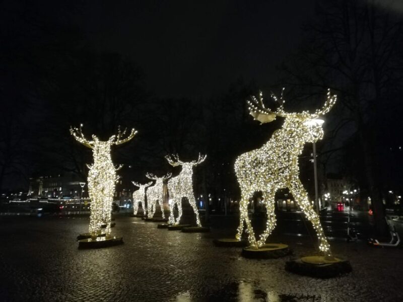 Stockholm: Christmas Traditions & Tastings Small Group Tour - Experiences and Tastings