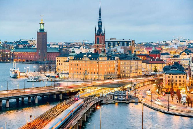 Stockholm City Tour + VAASA Museum VIP Car PRIVATE Guide - Accessibility and Flexibility