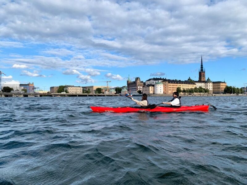 Stockholm: Daytime Kayak Tour in Stockholm City - Highlights
