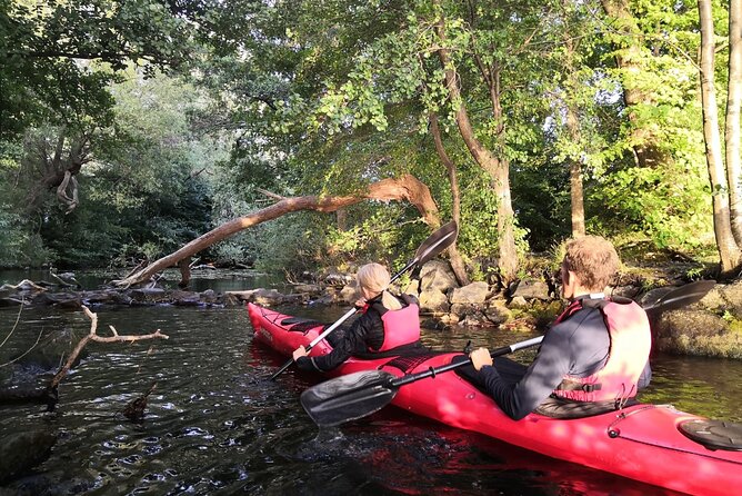 Stockholm Evening Kayak With BBQ - Small Group - Inclusions