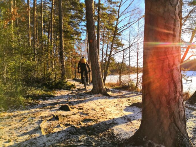 Stockholm: Forest Mountain Biking Adventure for Beginners - Customer Feedback