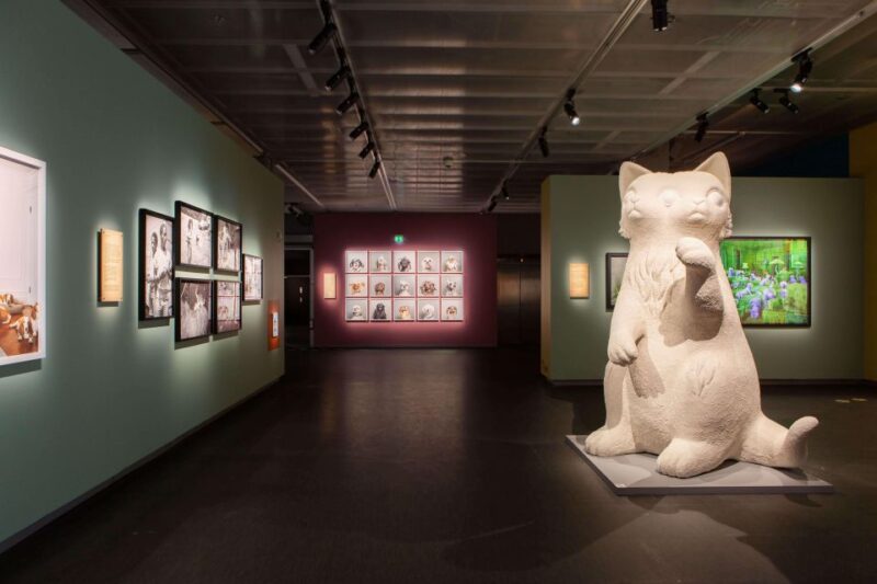 Stockholm: Fotografiska Museum Entrance Ticket - Current Exhibitions and Artists