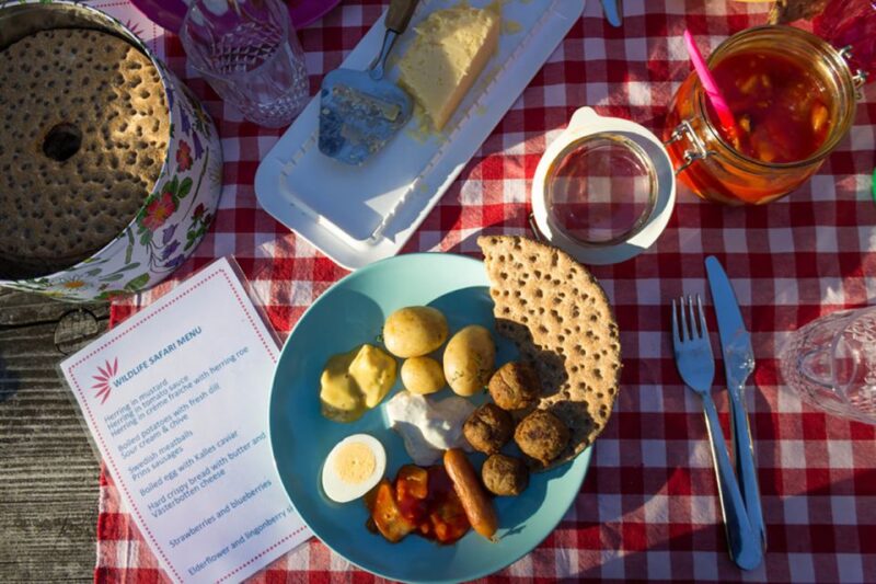 Stockholm: Guided Kayak City Tour & Optional Midsummer Meal - Included Amenities