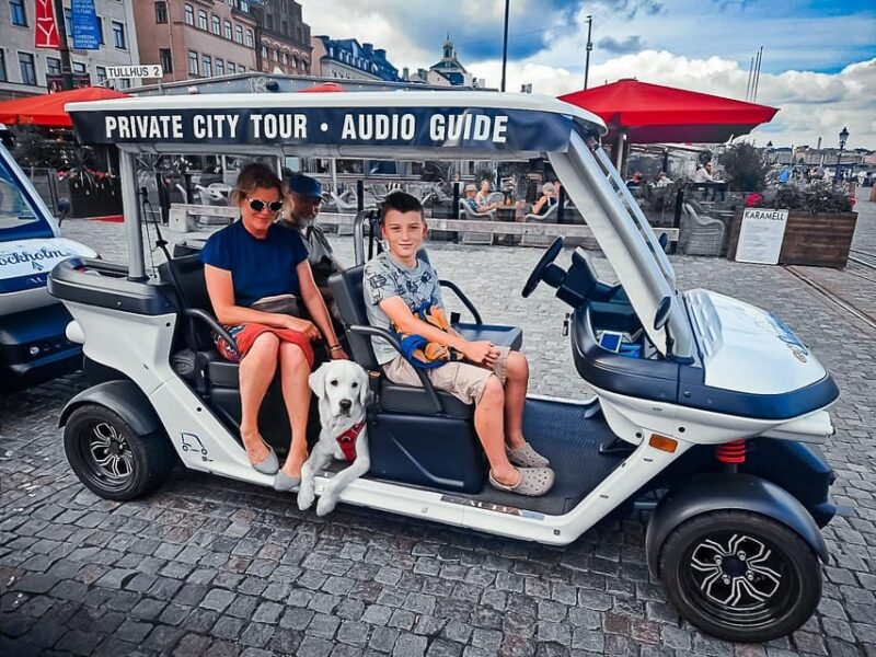 Stockholm Highlights by Golf Cart Tour - Accessibility and Comfort