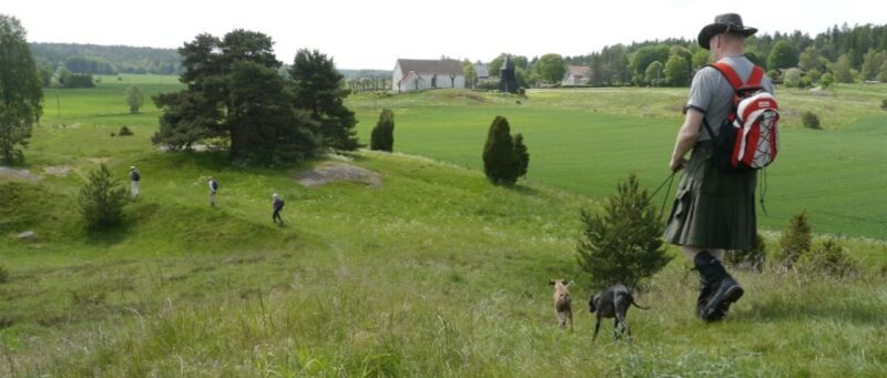 Stockholm Icelandic Horses, Countryside and Swedish History - Experience Highlights