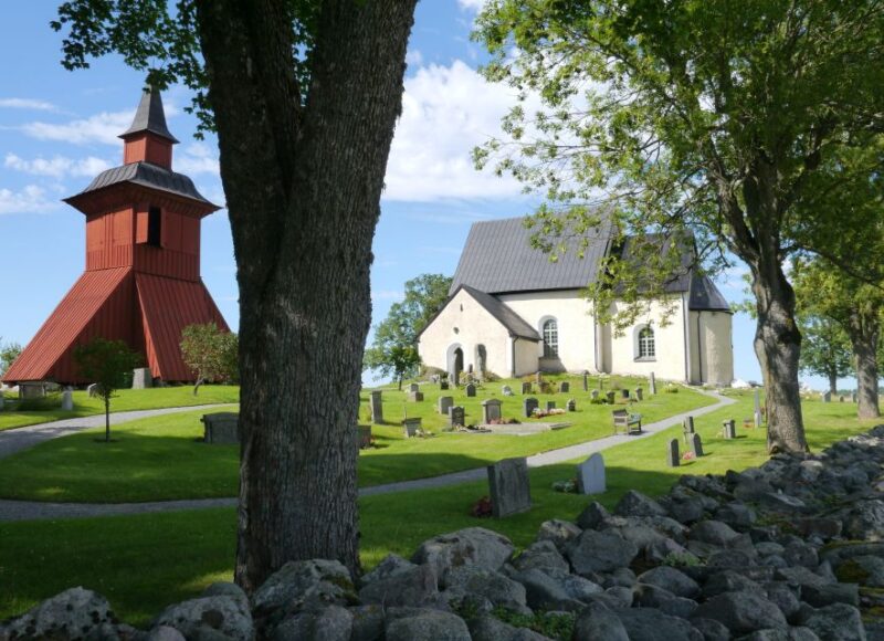 Stockholm Icelandic Horses, Countryside and Swedish History - Participant Information
