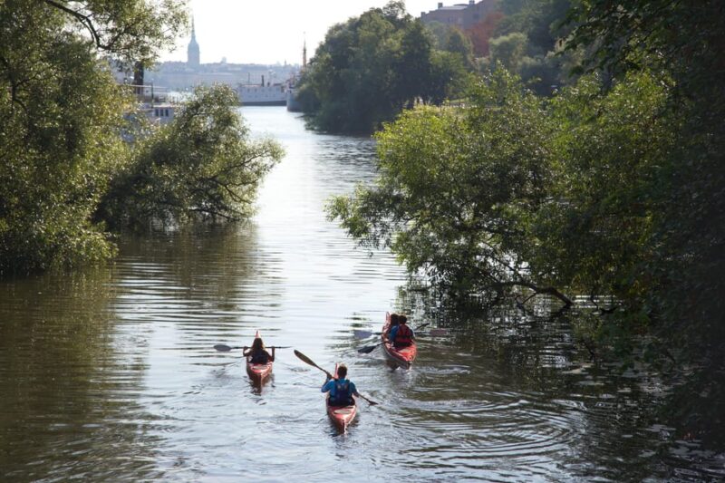 Stockholm: Kayak Tour in City Center - Good To Know