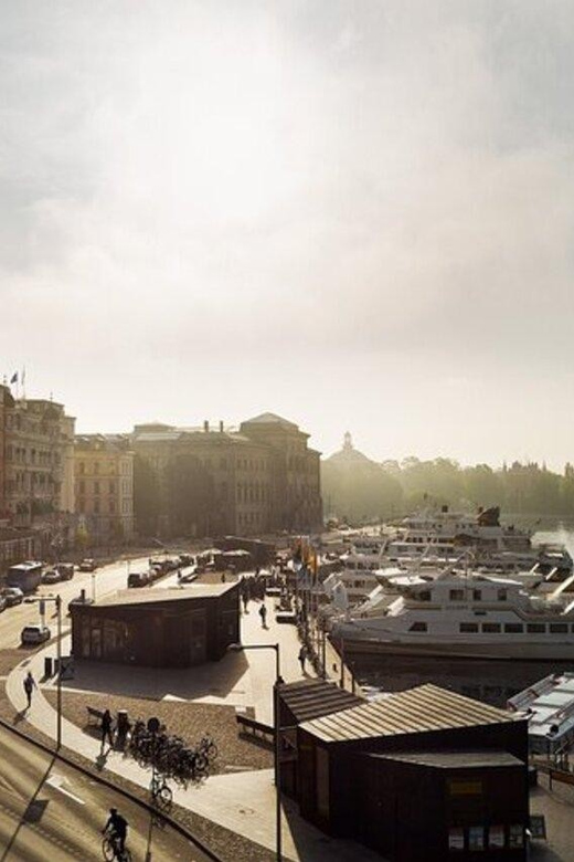 Stockholm: Must-See Attractions Walking Tour With a Guide - Meeting Point and Accessibility