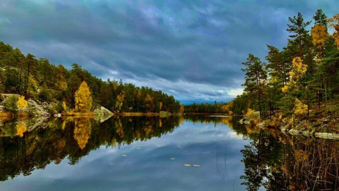 Stockholm: Nature Reserve Hiking Tour With Campfire Lunch - Inclusions and Pricing
