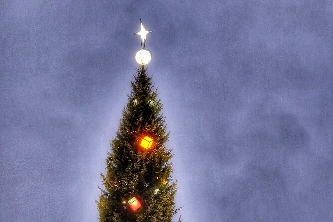 Stockholm Old Town Magic Christmas Walk - Booking Information