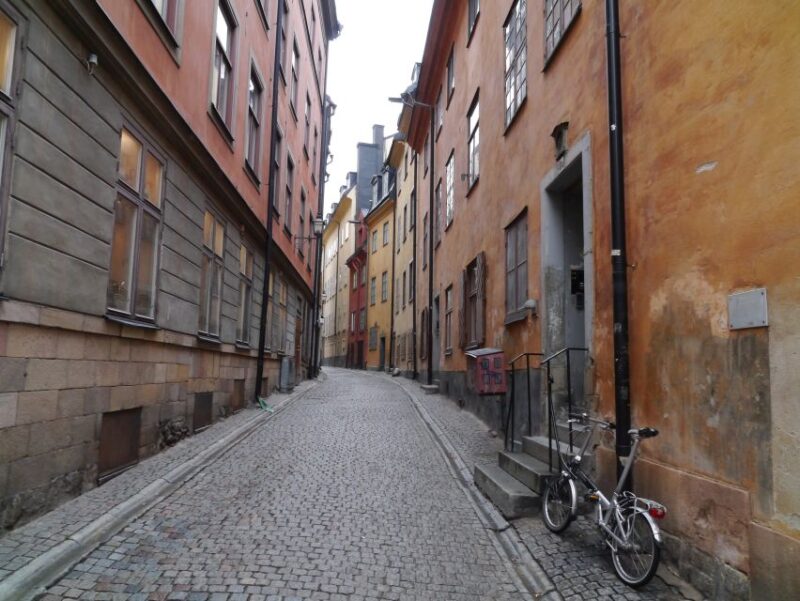 Stockholm: Private Guided Car Tour and Vasa Museum Entry - Included in the Tour