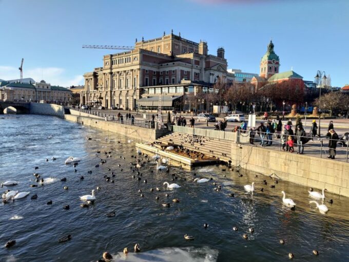 Stockholm: Private Guided Car Tour and Vasa Museum Entry - Personalization Options