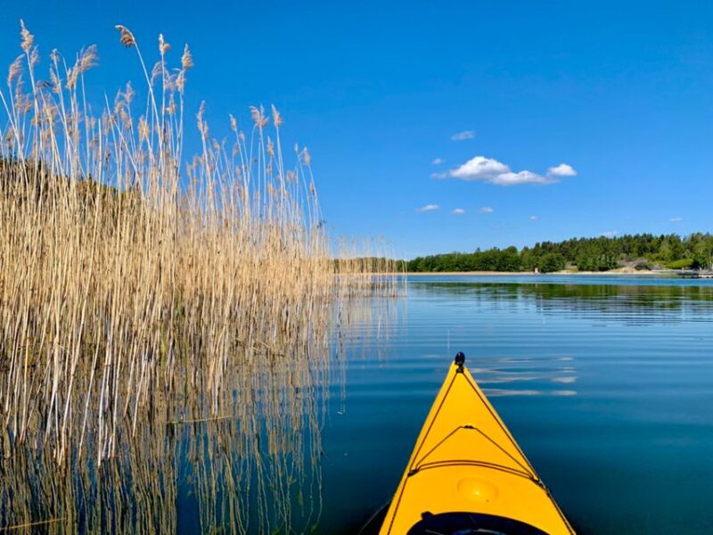 Stockholm: Sunset Kayak Tour in the Archipelago + Fika - Itinerary Details