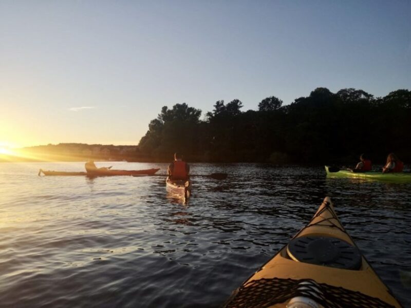 Stockholm: Sunset Kayak Tour in the City + Swedish Fika - Safety and Guidance