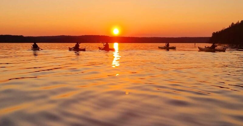 Stockholm: Sunset Kayak Tour on Lake Mälaren With Tea & Cake - Itinerary and Activities