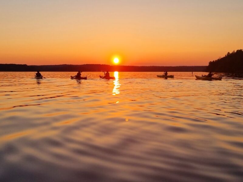 Stockholm: Sunset Kayak Tour on Lake Mälaren With Tea & Cake - Highlights of the Experience