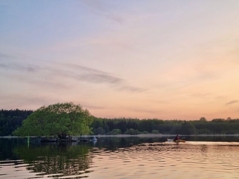 Stockholm: Sunset Kayak Tour on Lake Mälaren With Tea & Cake - Suitability and Restrictions