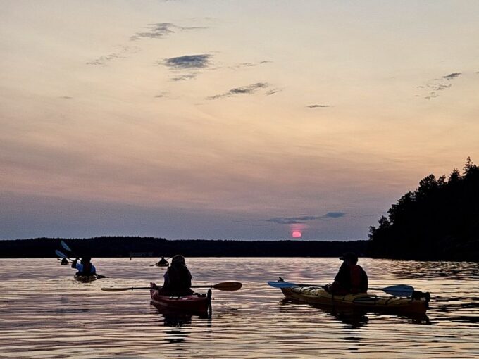 Stockholm: Sunset Kayak Tour on Lake Mälaren With Tea & Cake - Meeting Point and Transportation