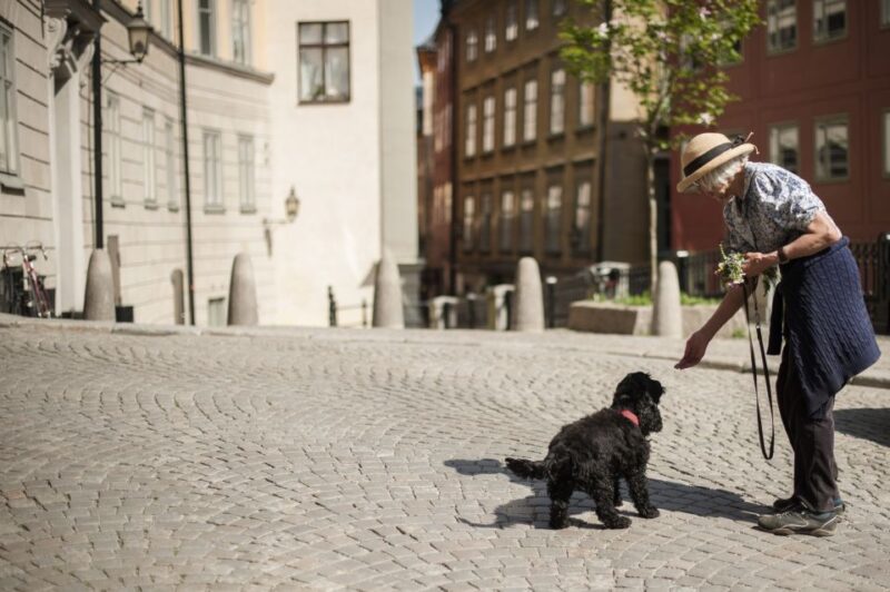 Stockholm Syndrome: 3-Hour Walking Tour - Good To Know