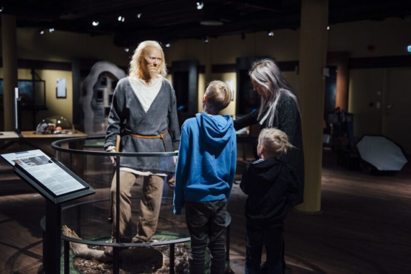 Stockholm: The Viking Museum Exhibition and Viking Ride - Guided Tours