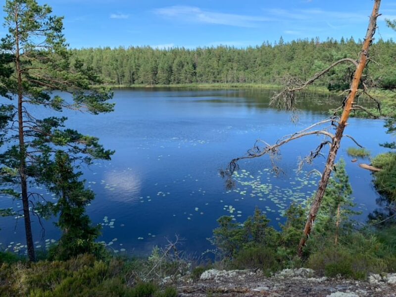 Stockholm: Tyresta National Park Sunset Hike With Meal - Inclusions and Exclusions