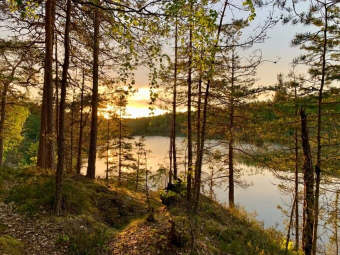 Stockholm: Tyresta National Park Sunset Hike With Meal - Booking and Contact