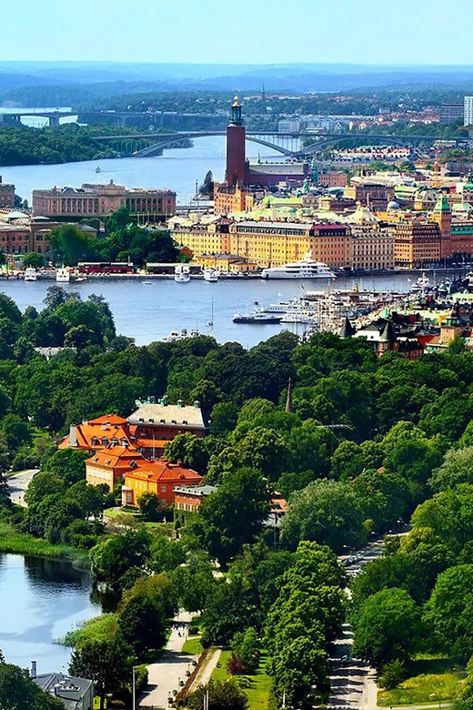 Stockholm VIP Full Day City Tour by Limousine in Stockholm - Tour Experience