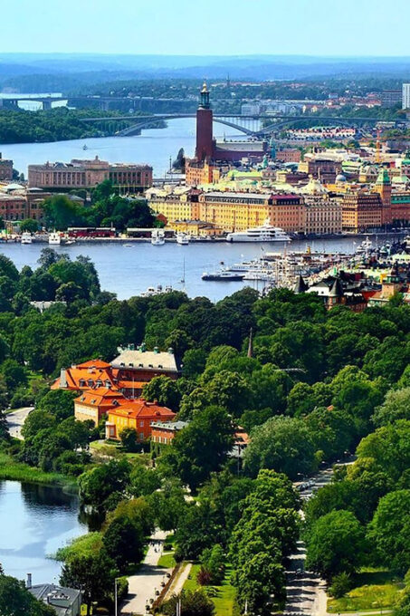 Stockholm VIP Half Day City Tour by Incl. Vasa Ship Museum - Tour Details