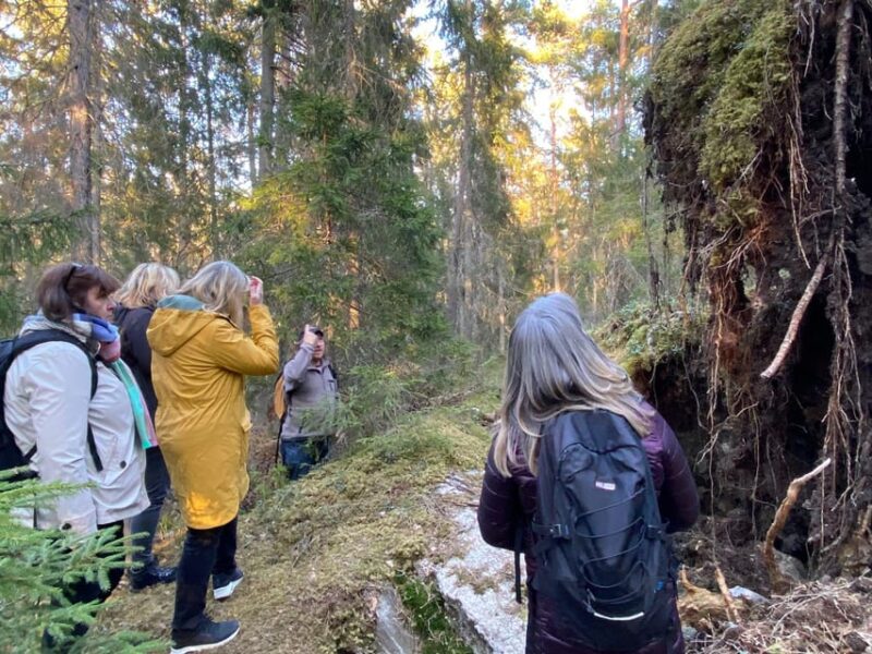Stockholm: Wildlife Safari - Customer Feedback and Ratings