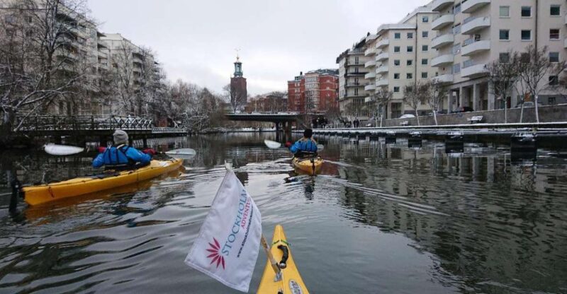 Stockholm: Winter City Kayaking Tour - Experience Highlights