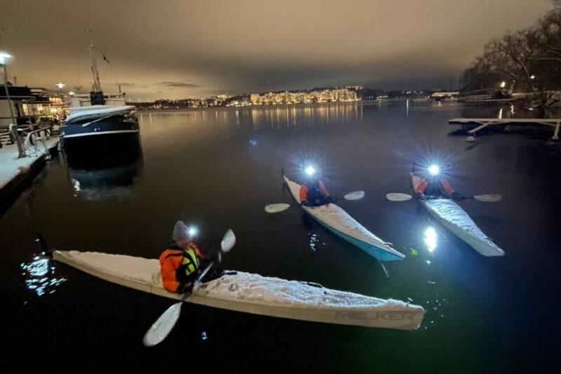 Stockholm: Winter Kayaking Tour With Optional Sauna Time - Itinerary