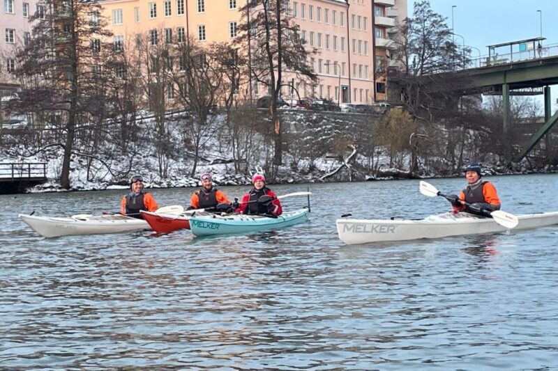 Stockholm: Winter Kayaking Tour With Optional Sauna Time - Customer Feedback