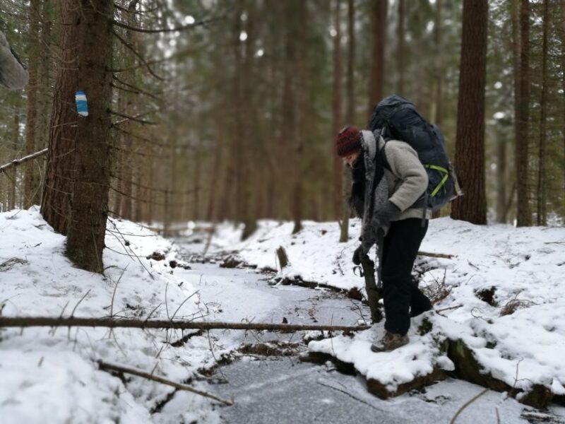 Stockholm: Winter Nature Hike With Campfire Lunch - Experience Details