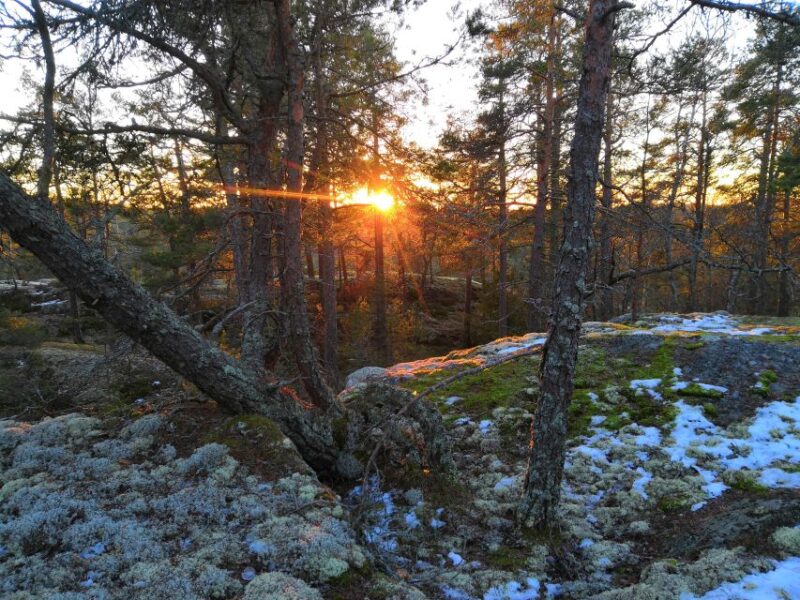 Stockholm: Winter Nature Hike With Campfire Lunch - What to Bring
