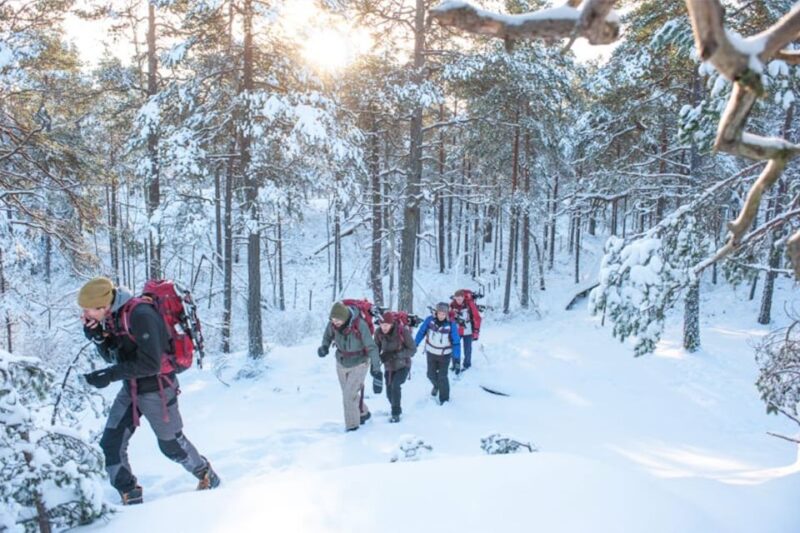 Stockholm: Winter Snowshoe Full-Day Hike - Good To Know