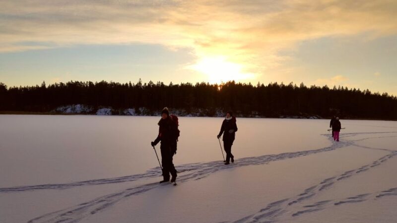 Stockholm: Winter Snowshoe Full-Day Hike - Highlights of the Experience