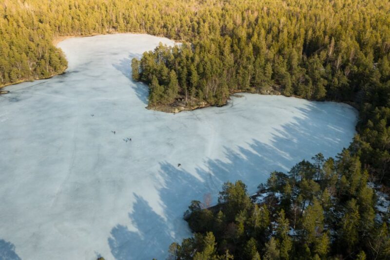 Stockholm: Winter Snowshoe Full-Day Hike - Inclusions for the Tour
