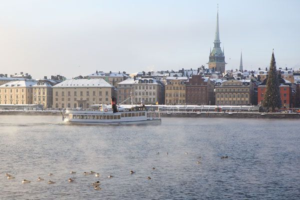 Stockholm Winter Tour by Boat - Tour Experience and Highlights