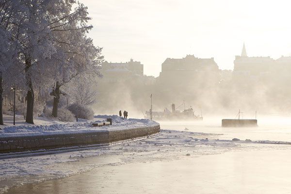 Stockholm Winter Tour by Boat - Accessibility and Meeting Point