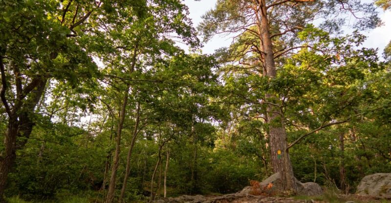 Stockholms Nacka Nature Reserve: 3-hour Hike for Beginners - Hiking Route and Itinerary