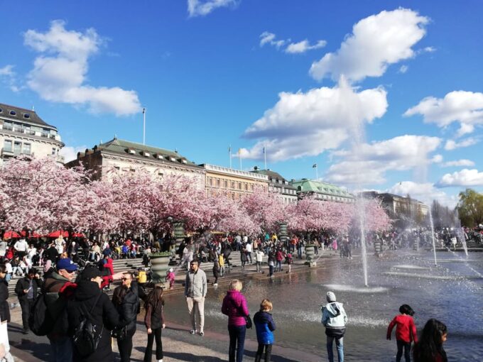 Stockholm:Scandinavian Art, Architecture & Design Experience - Renowned Swedish Architects, Artists, and Designers