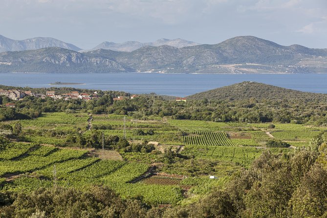 Ston and Peljesac With Wine Tasting Private Tour - Key Points