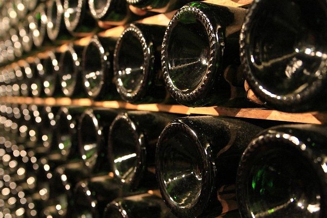 Ston and Peljesac With Wine Tasting Private Tour - Oyster Tasting