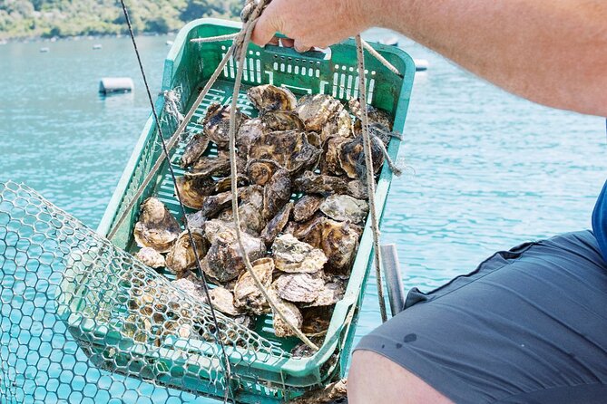 Ston Gastro Tour - Ston Excursion